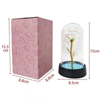 Light-Up Rose Display: Display and packaging measurements