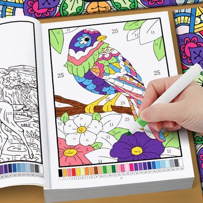Color by Number Book: Coloring the numbered owl page