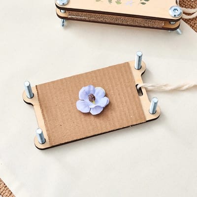 Open flower press with a flower resting on a cardboard layer.